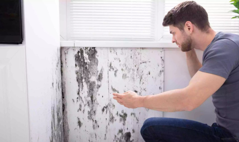 What Happens When Water Hits a Shared Wall in a Duplex?